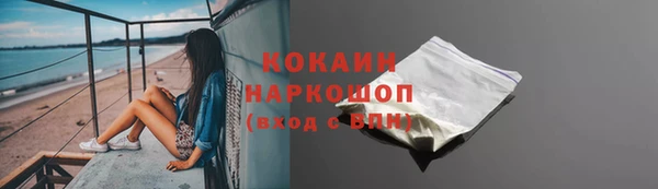 гашик Тында