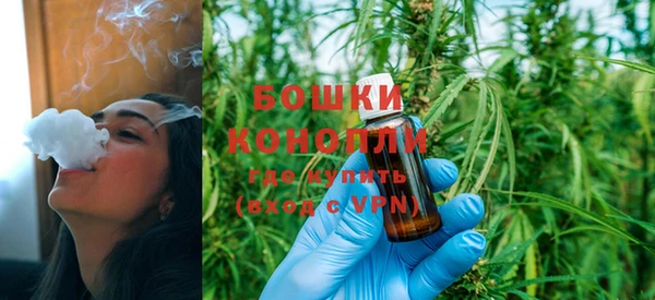 гашик Тында