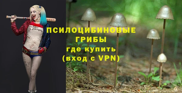 прущие грибы Туринск